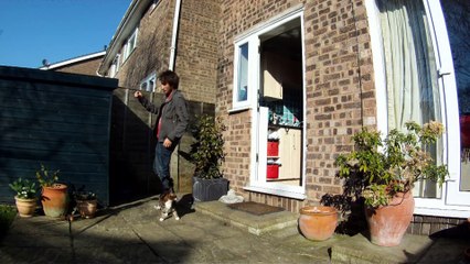 Gravity Defying Cat - The Slow Mo Guys