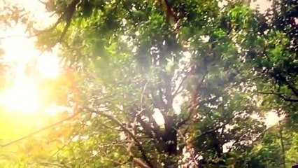 Hollywood Action movies 2016 David And Goliath 2016 720p Full English