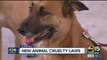 New laws in effect for Glendale pet owners