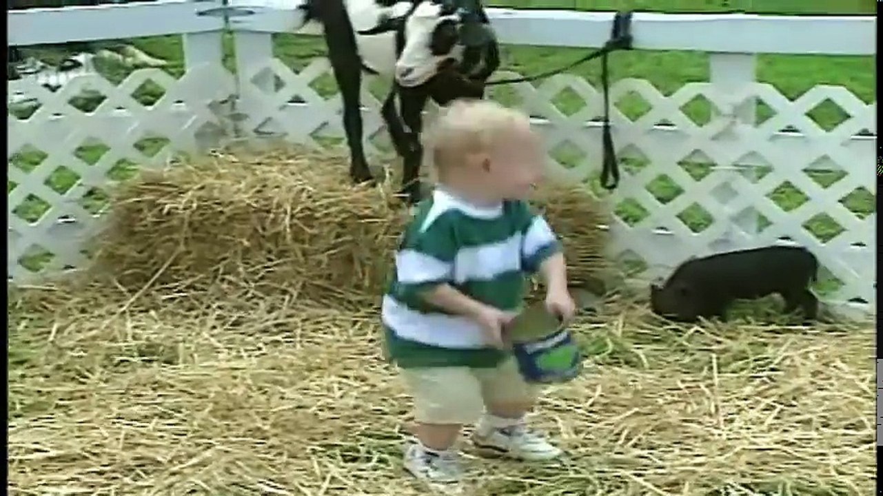 Baby Einstein Learn World Animals Video Dailymotion