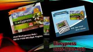 0815-7109-993 (Bpk Yogie) | BioCypress Medan , Produk Biocypresss