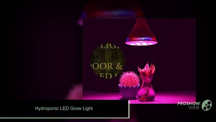 Best Power Saving LED Grow Light