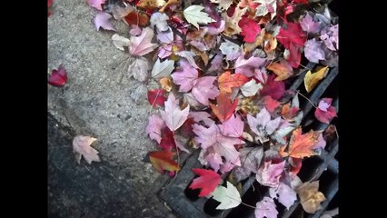 Αποφραξεις Χαλάνδρι – 2106852718 – Apofraχeis Xalandri