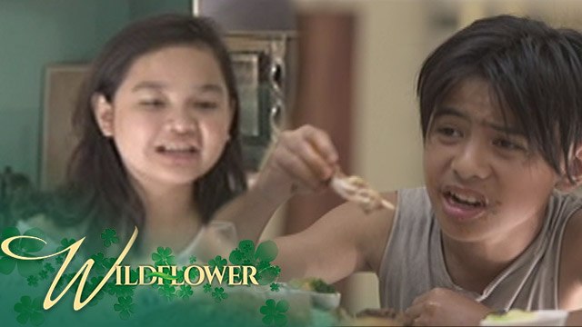 Wildflower: Jepoy and Ivy's childhood | EP 123
