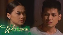 Wildflower: Jepoy finally admits his feelings for Ivy | EP 123