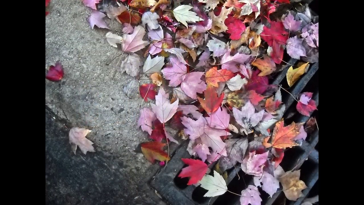 Αποφραξεις Φιλοθέη – 2106852718 – Apofraχeis Filothei