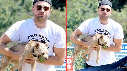 Robert Pattinson On Dog Molestation Scene in New Film ‘Good Time’