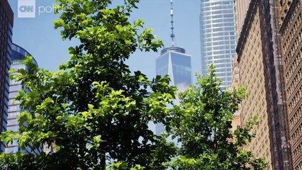 This Trump supporter drives New Yorkers nuts