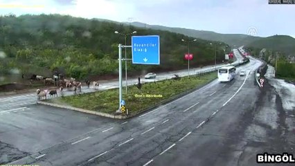 Trafik Kazaları Mobese'lerde - Bingöl/çanakkale/