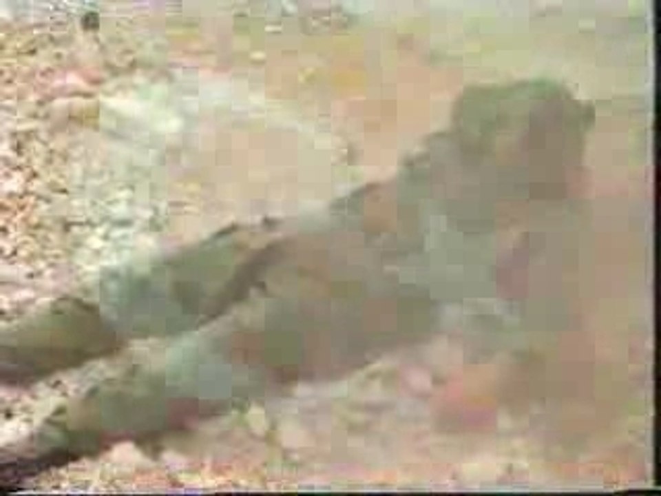 ZAP SUYU -