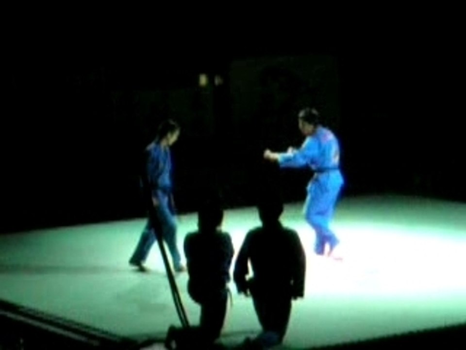 Vovinam au salon des arts martiaux 2007 à Genève