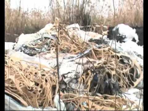 BARLETTA. Sequestrata discarica abusiva ad Ariscianne