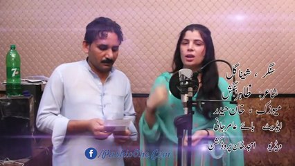 Pashto New Songs 2017 Sheena Gul Official - Munga Dree Yaran