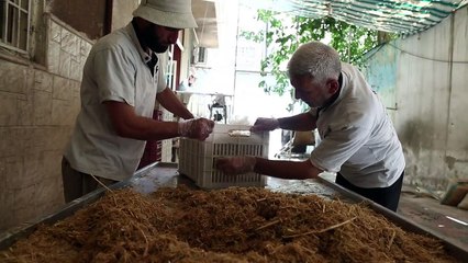 A Douma à Syrie, les champignons ont remplacé la viande