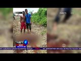3 Orang Jadi Tersangka Pembunuh Orangutan - NET24