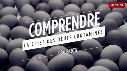 Comprendre la crise des oeufs contaminés