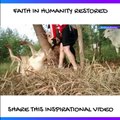FAITH IN HUMANITY RESTORED