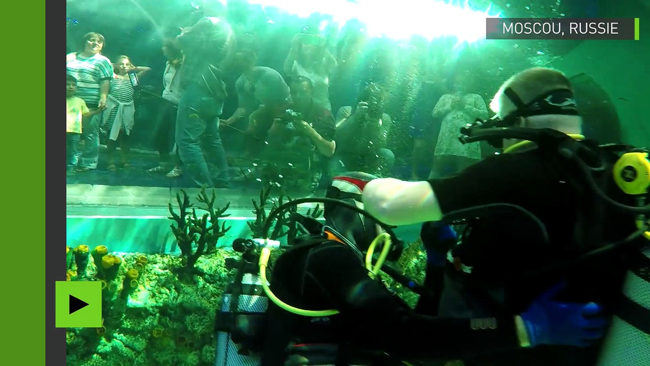 Plongée miraculeuse : amputé des quatre membres, il découvre le monde sous-marin