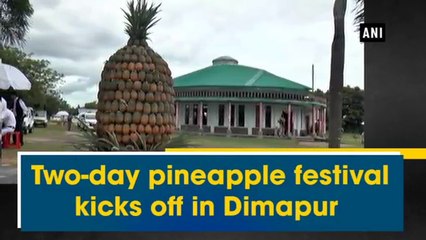 Pineapple Festival kicked off in Nagaland’s Dimapur | Oneindia Telugu