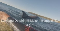 Surfer Freaks Out After Mistaking Dolphin for Shark