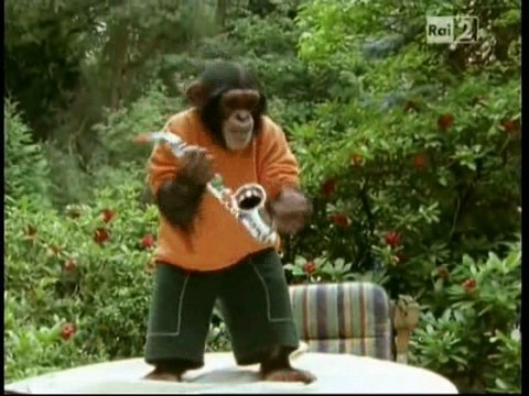 Il nostro amico Charly 7x11 - Applausi per Charly