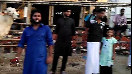 Big boil Ek Lathi te uriye dilo amader ek choto vai ke