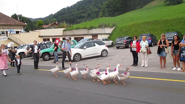 Les oies lors du cortège du 1er août 2017, jour de la fête nationale suisse