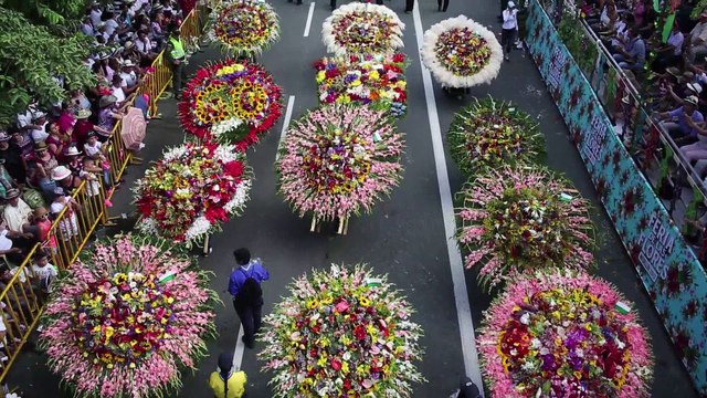Le Festival des Fleurs de Medellin célèbre 60 ans de tradition