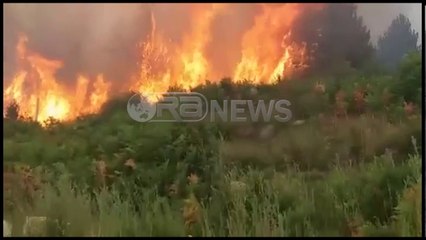 Ora News – Shikoni flakët që po djegin masivin pyjor në Gjinar