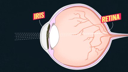 This is why you need special sunglasses to view the total eclipse