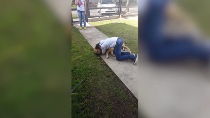 Que d'émotions lorsqu'un chien retrouve son maitre