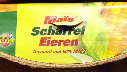 Bélgica señala a Holanda por caso de los huevos contaminados