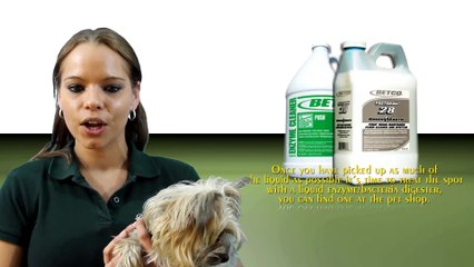 Download Video: Removing pet stains