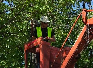 Počela zamena javne rasvete u Boljevcu, 9. avgust 2017. (RTV Bor)