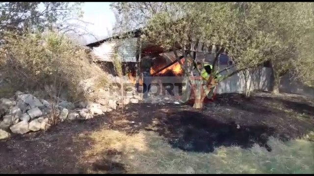 Report TV - Video/Patos, zjarr në lagjen Dukas, flakët rrezikuan edhe një shtëpi