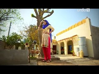 BAAGHI - OST | Urdu1ᴴᴰ | Saba Qamar, Osman Khalid Butt, Sarmad Khoosat, Ali Kazmi