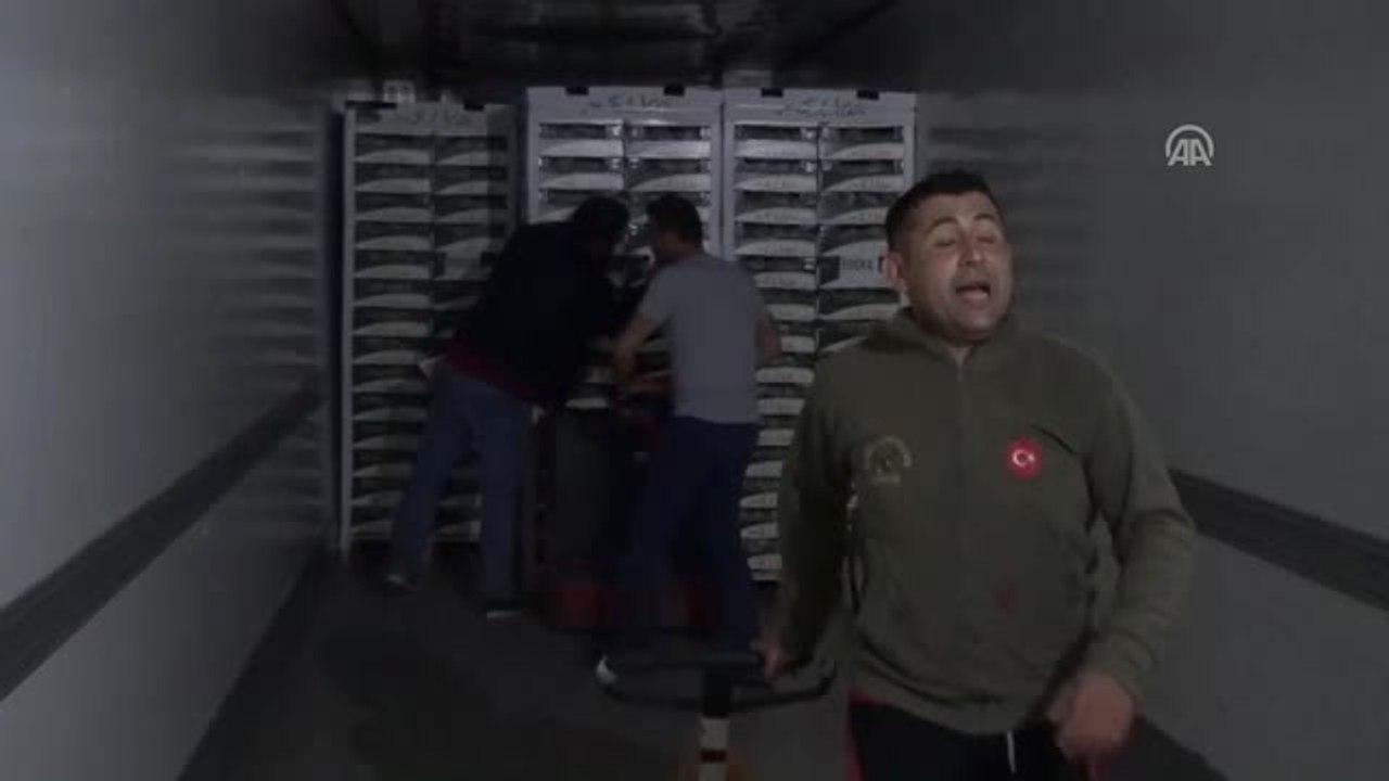 Rusya ve Avrupa'ya Üzüm Taşıyan Tırlar Yola Çıktı