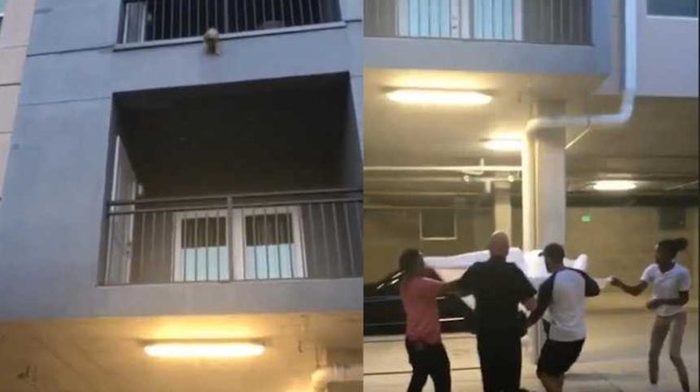 Ce chien serait sûrement mal en point sans ce sauvetage ambitieux des voisins