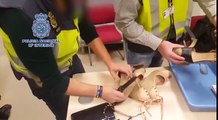 Polícia espanhola apanha 180.000 euros em sapatos de mulher