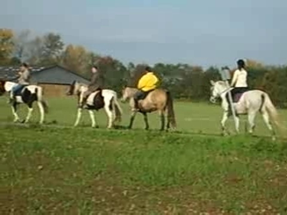 Rally Ardichamps 21.10.07 050