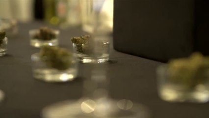 Ferias de "Bodas Cannábicas"