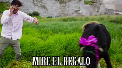 Me Rehúso Danny Ocean (PARODIA/PARODY) | KikeJav Ft. DiegoVillacis