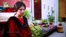 Mein Mehru Hoon Ep 232 - 9th August 2017