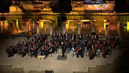 Un chien se détend auprès d'un orchestre