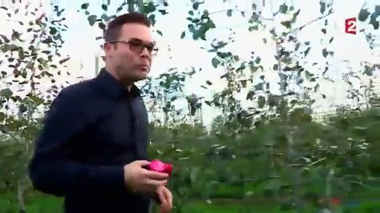 Pom Pom Pom. La face cachée de la pomme!!!