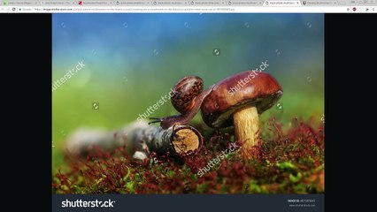 How to create scenes using Megascans with Octane and Cinema 4D