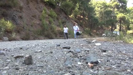 Tedavi Edilen Yaban Hayvanları Doğaya Salındı