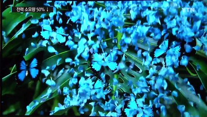 꿈의 디스플레이 '마이크로 LED' 대량생산 눈 앞 / YTN