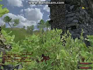 mb_warband 2017-07-29 16-36-39-881