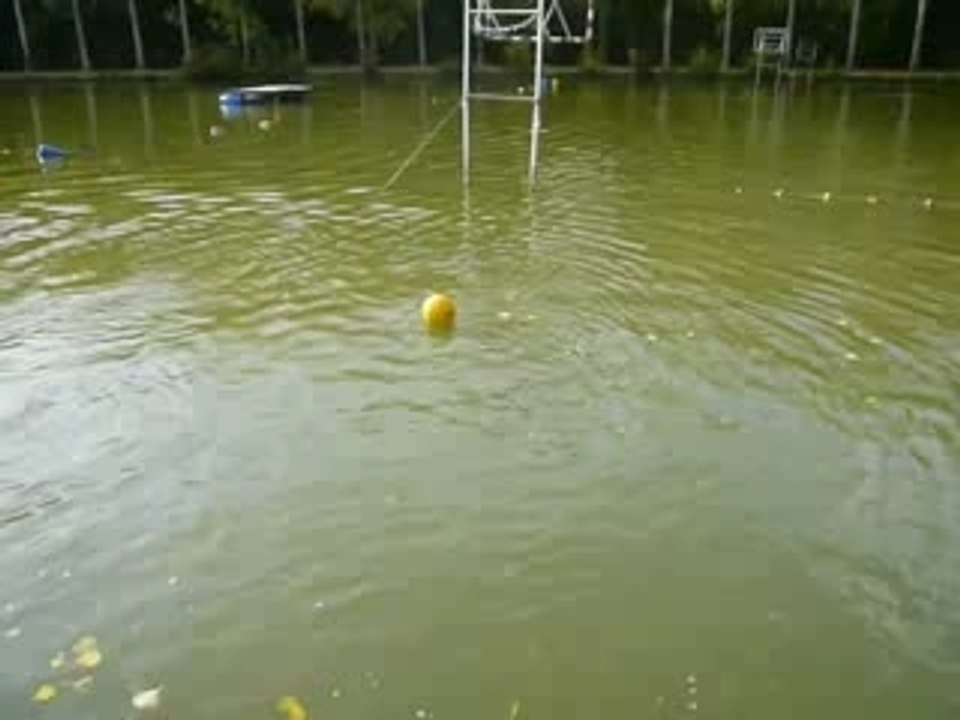Prise de balle pointe avant